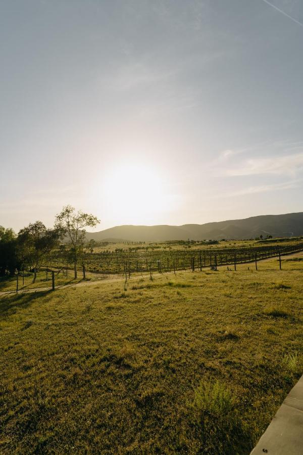 Casa Primavera/ Valle De Guadalupe Εξωτερικό φωτογραφία